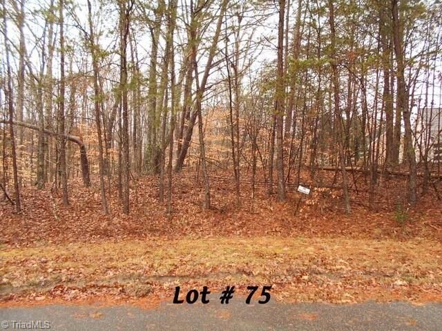 #75 Beaver Run  Eden NC 27288 photo