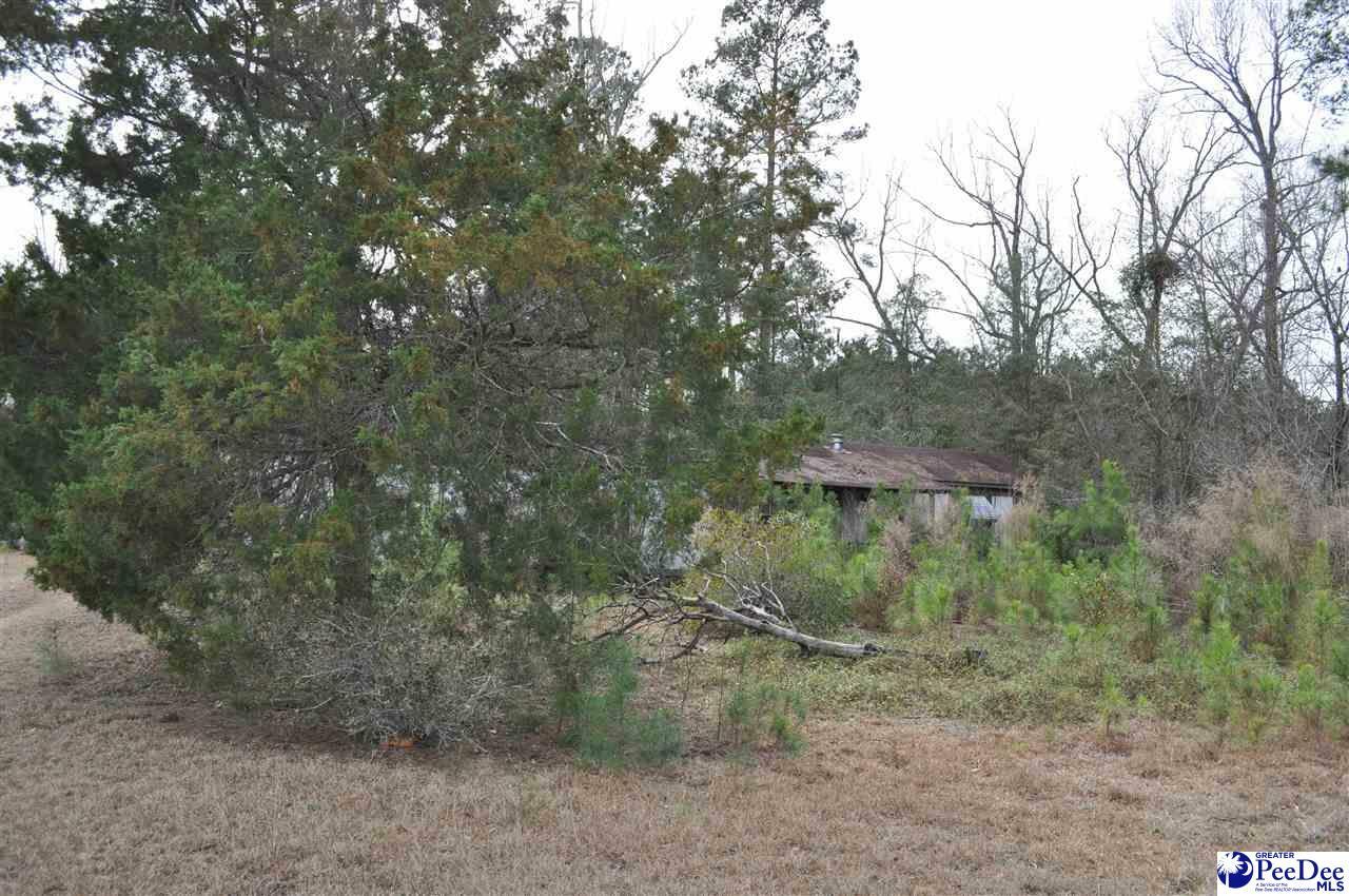 Property Photo:  1095 Sawyer Road  SC 29571 