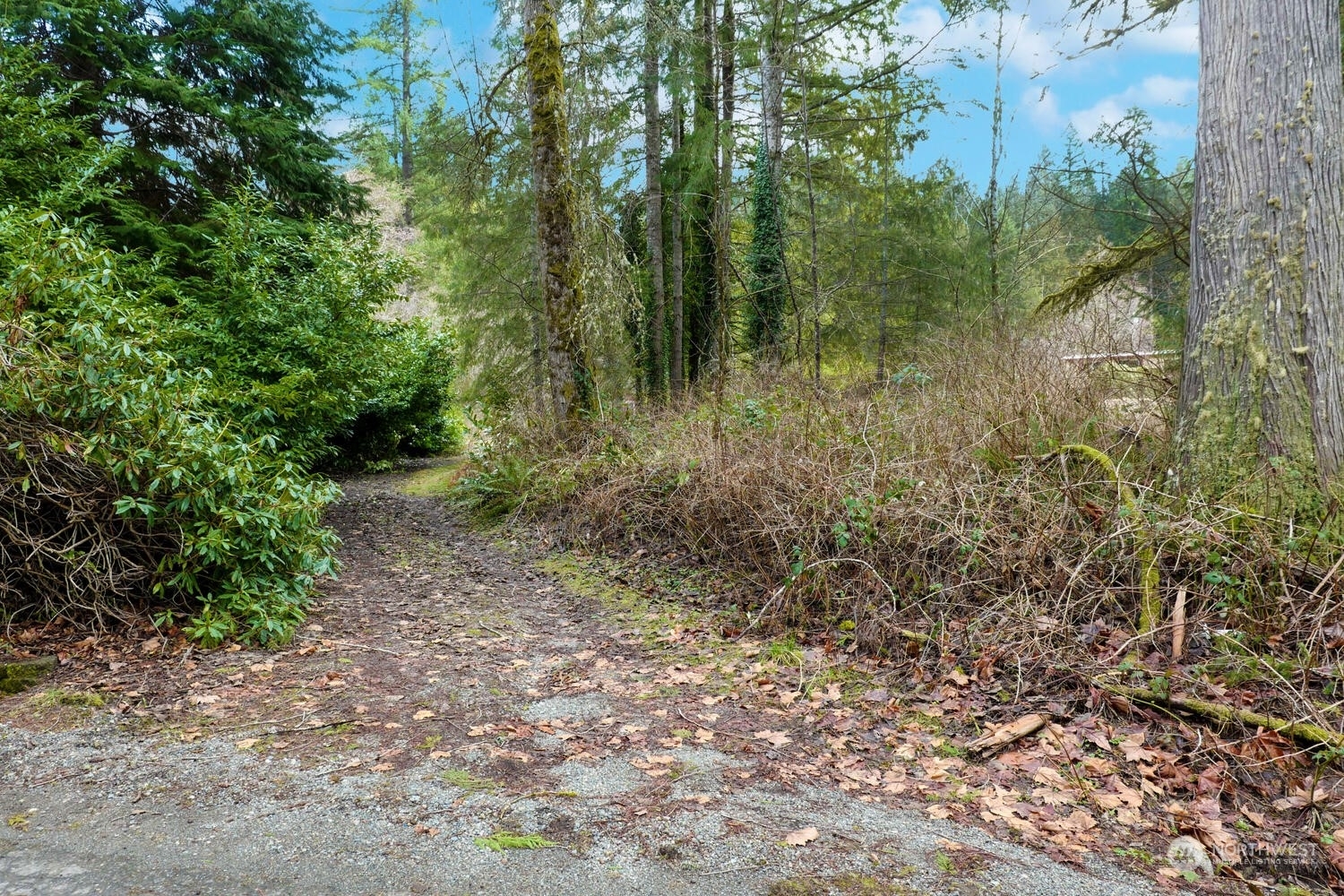 Property Photo:  8232 316th Place SE  WA 98027 