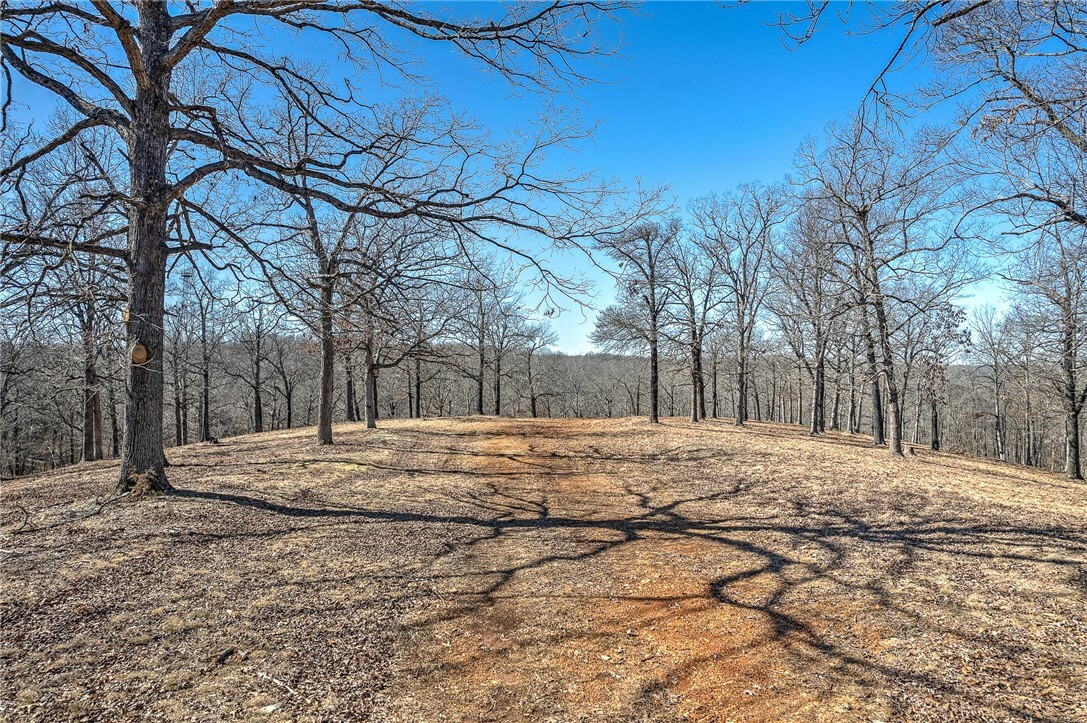 Property Photo:  Freestone Drive  AR 72756 