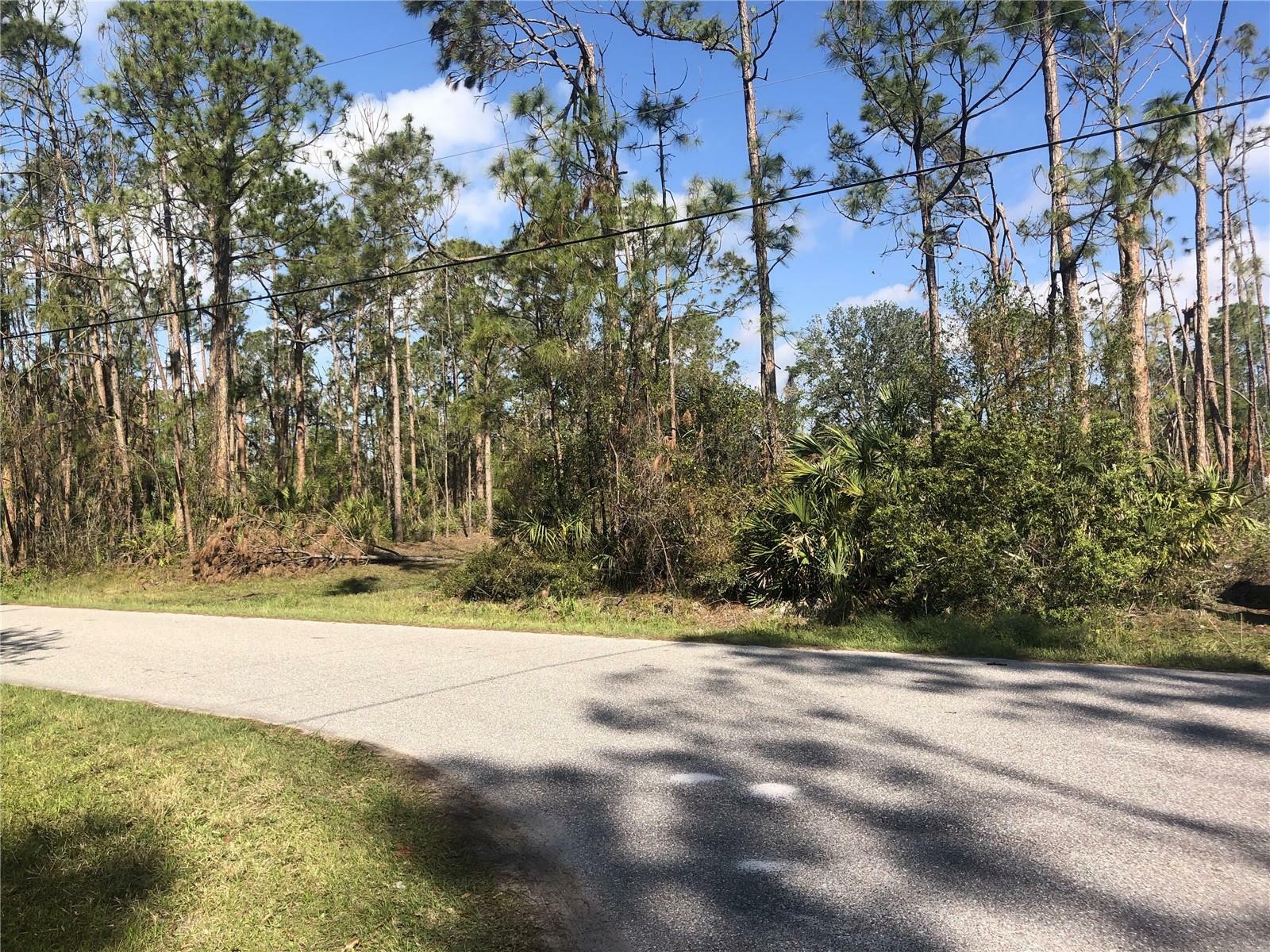 Property Photo:  Lot 34 Greenley Road  FL 34286 