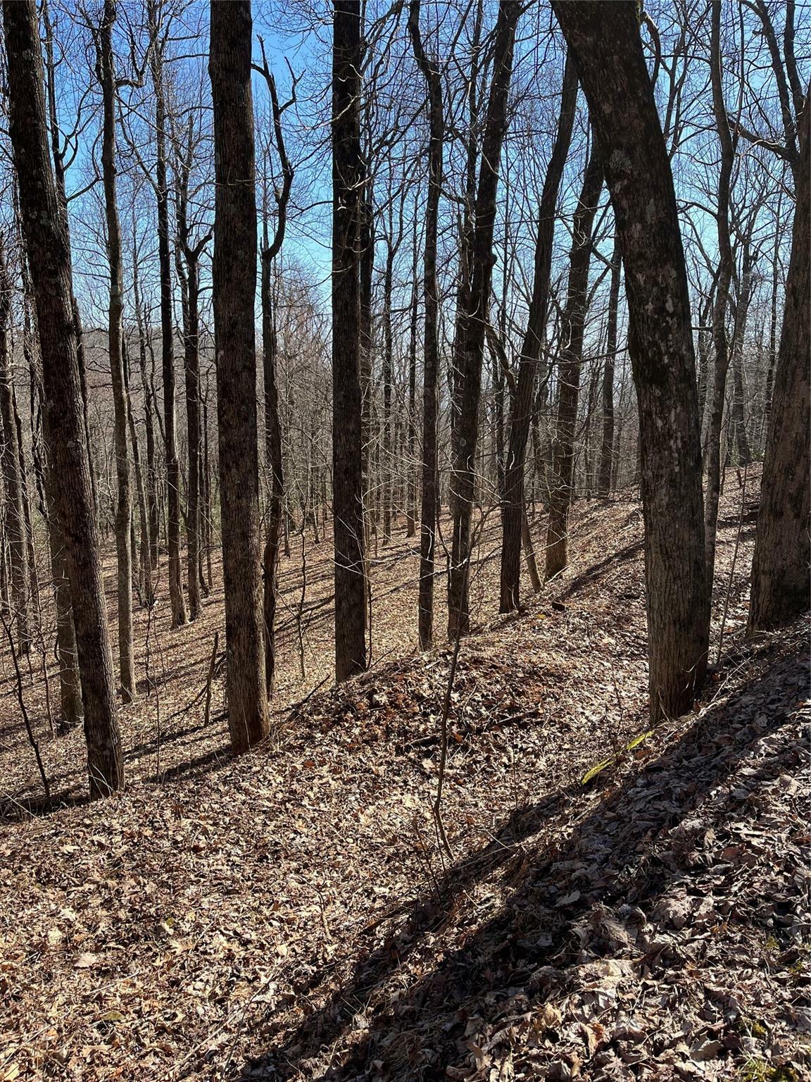 Property Photo:  0 Sunset Ridge Road 12  NC 28722 