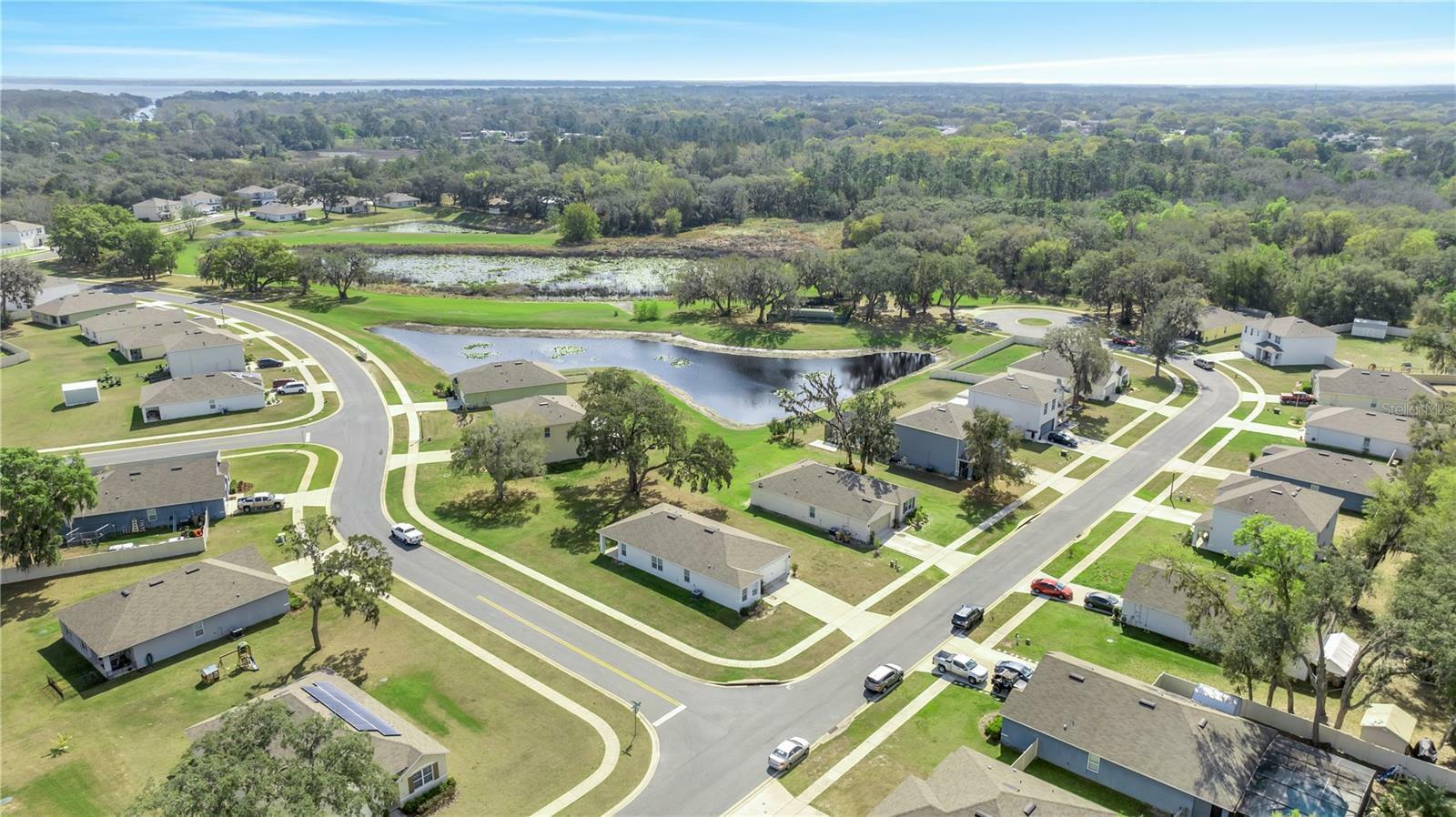 Property Photo:  35032 Sweet Leaf Lane  FL 34788 