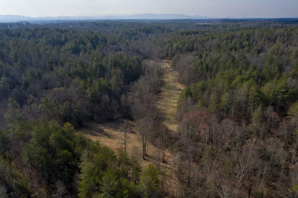 Property Photo: 4017 Piney Road NC 28655