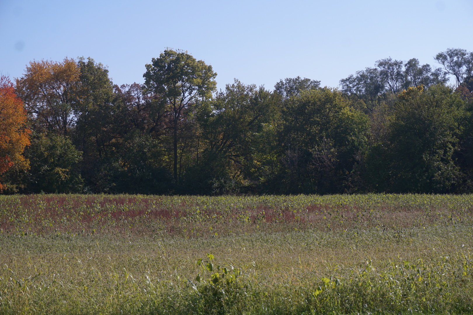 Property Photo:  Sec8 W Eames Street  IL 60410 