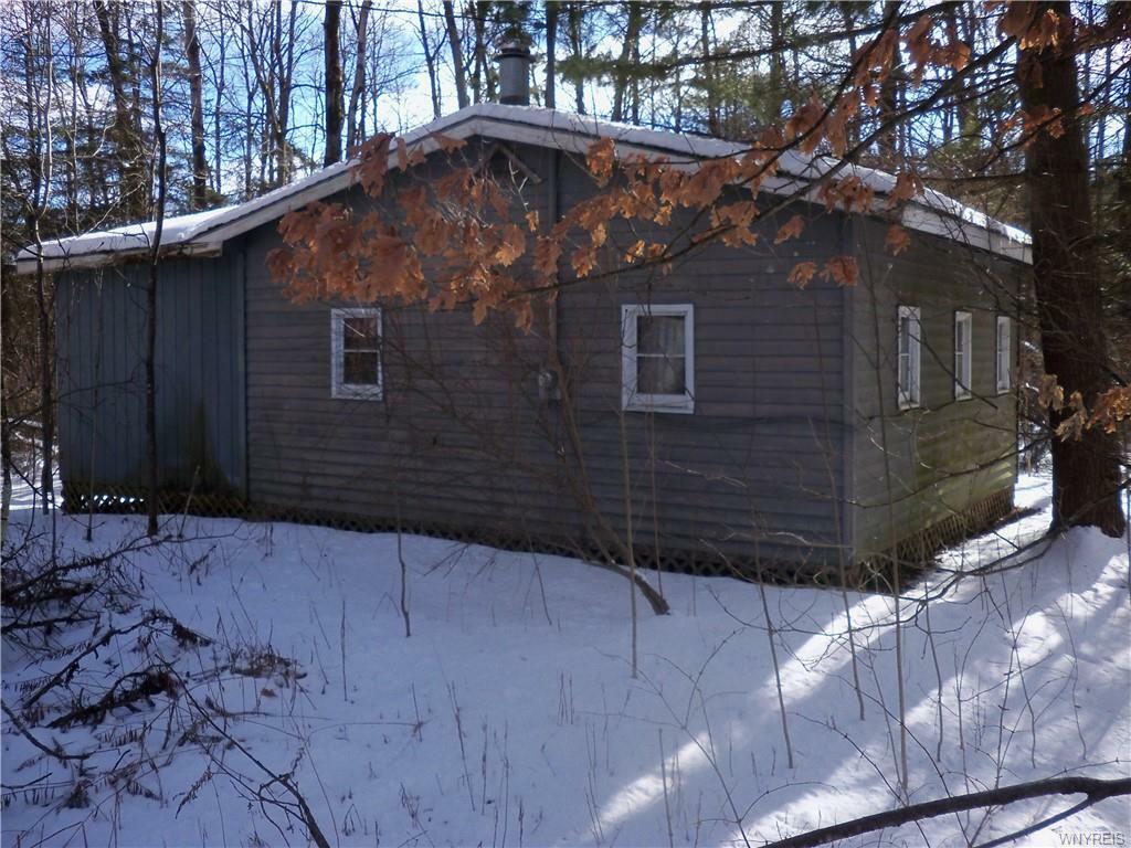 9236 Hoyett Road  Cuba NY 14727 photo