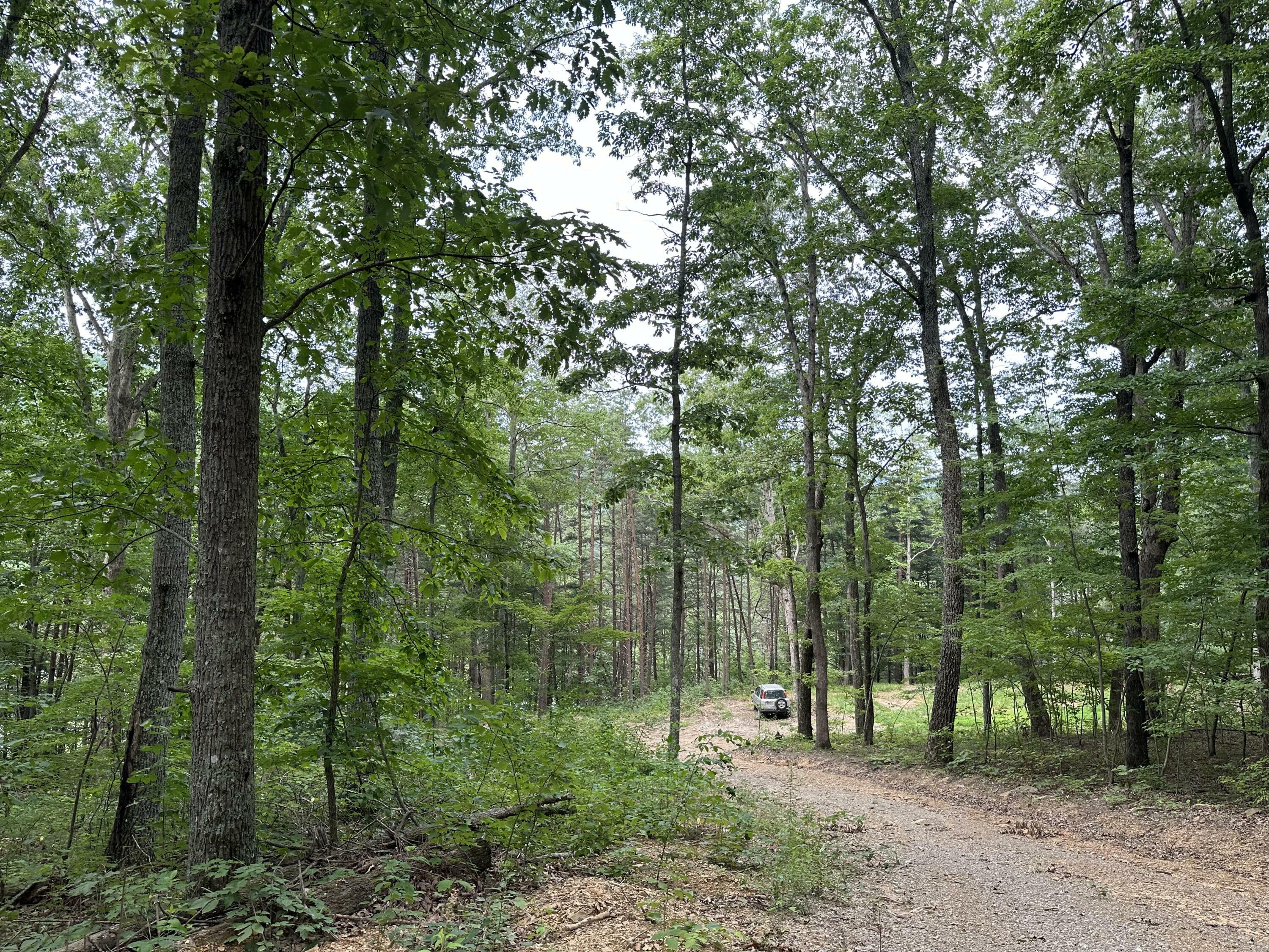 Property Photo:  Lot C Freeman Branch Road  KY 40729 