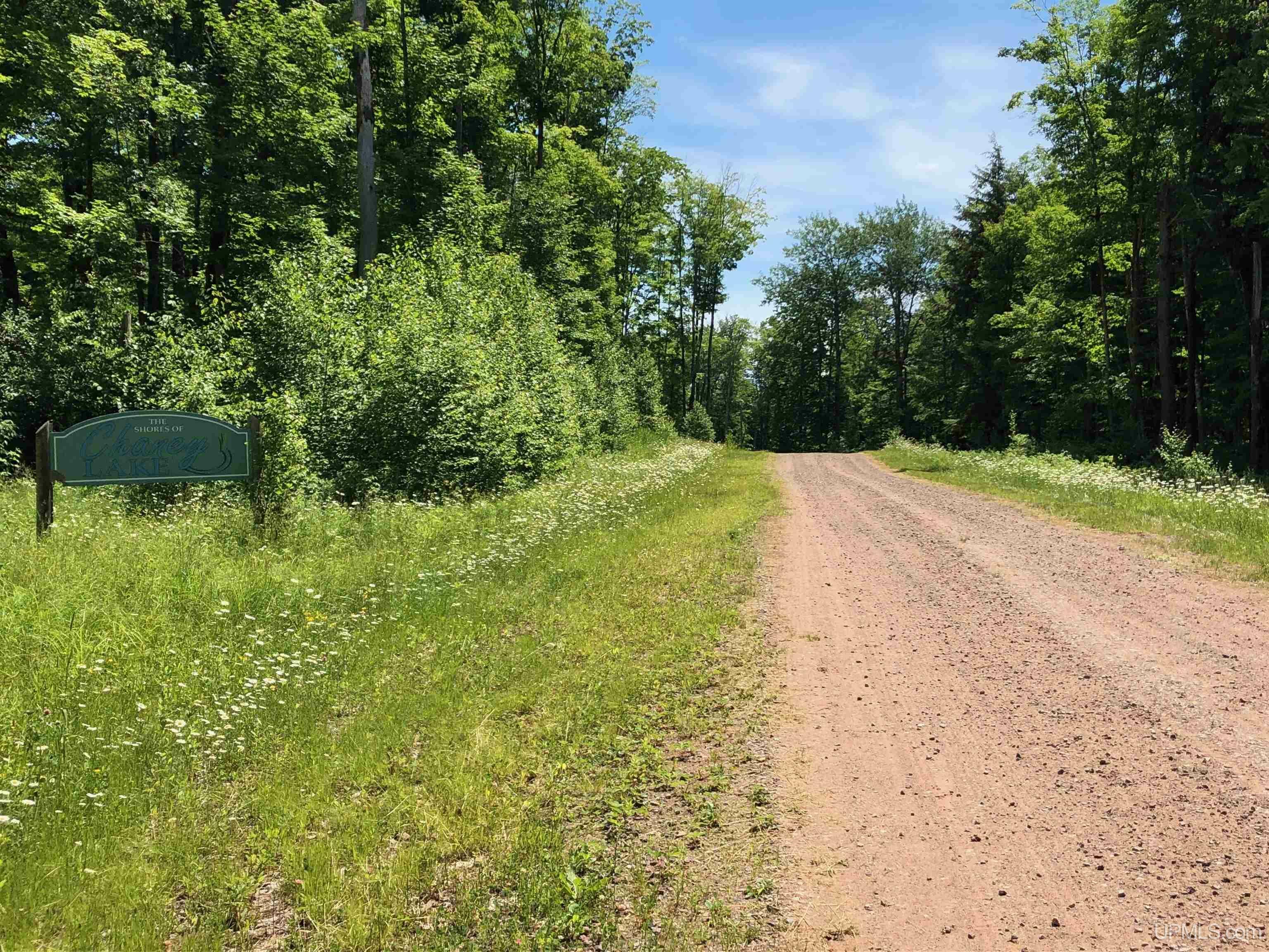 Property Photo: Off Chaney Shores Rd MI 49911