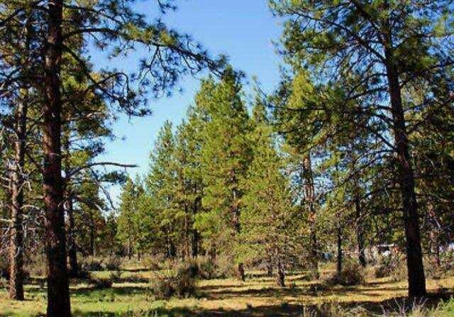 Property Photo:  Lot 8 Ruddy Duck Drive  OR 97623 