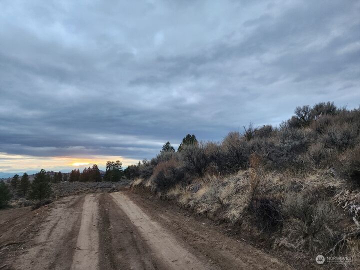 Property Photo:  405 Wild Turkey Road  WA 98802 