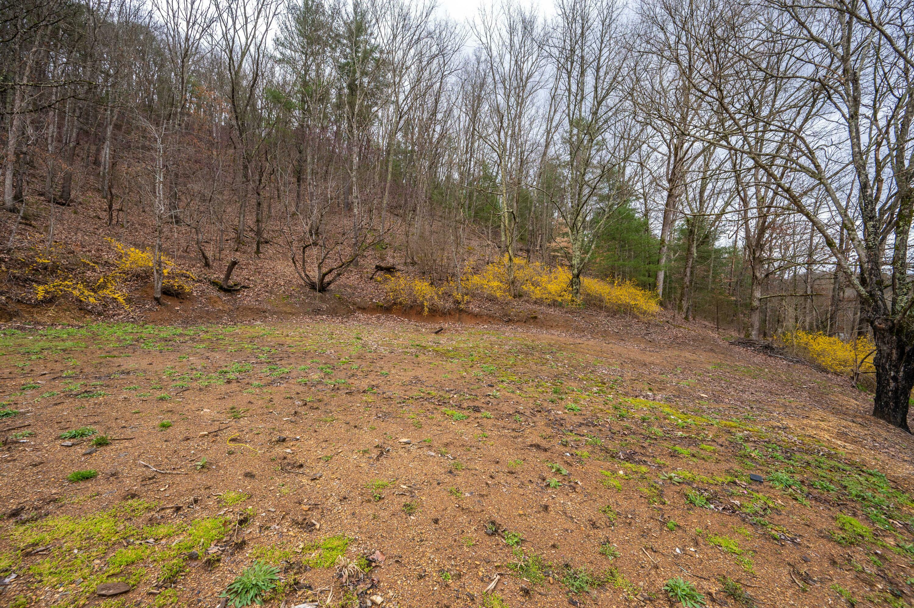 Property Photo:  1521 Mount Holston Road  TN 37618 