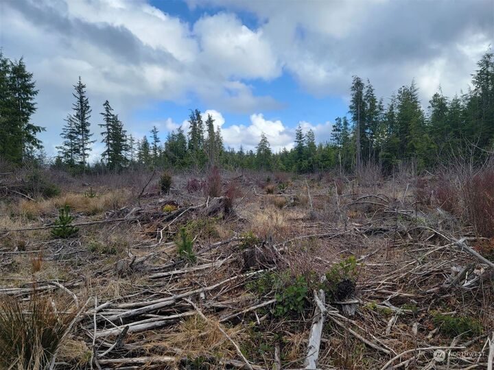 Property Photo: 0 Xxx Ocean Beach Road WA 98550