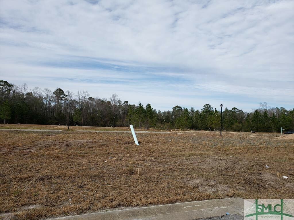 Property Photo:  1 Terrell Drive  GA 31313 