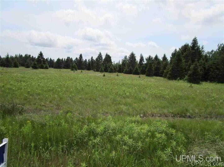 Tbd US2 Lots 8, 9, 10 &Amp 11  Rapid River MI 49878 photo