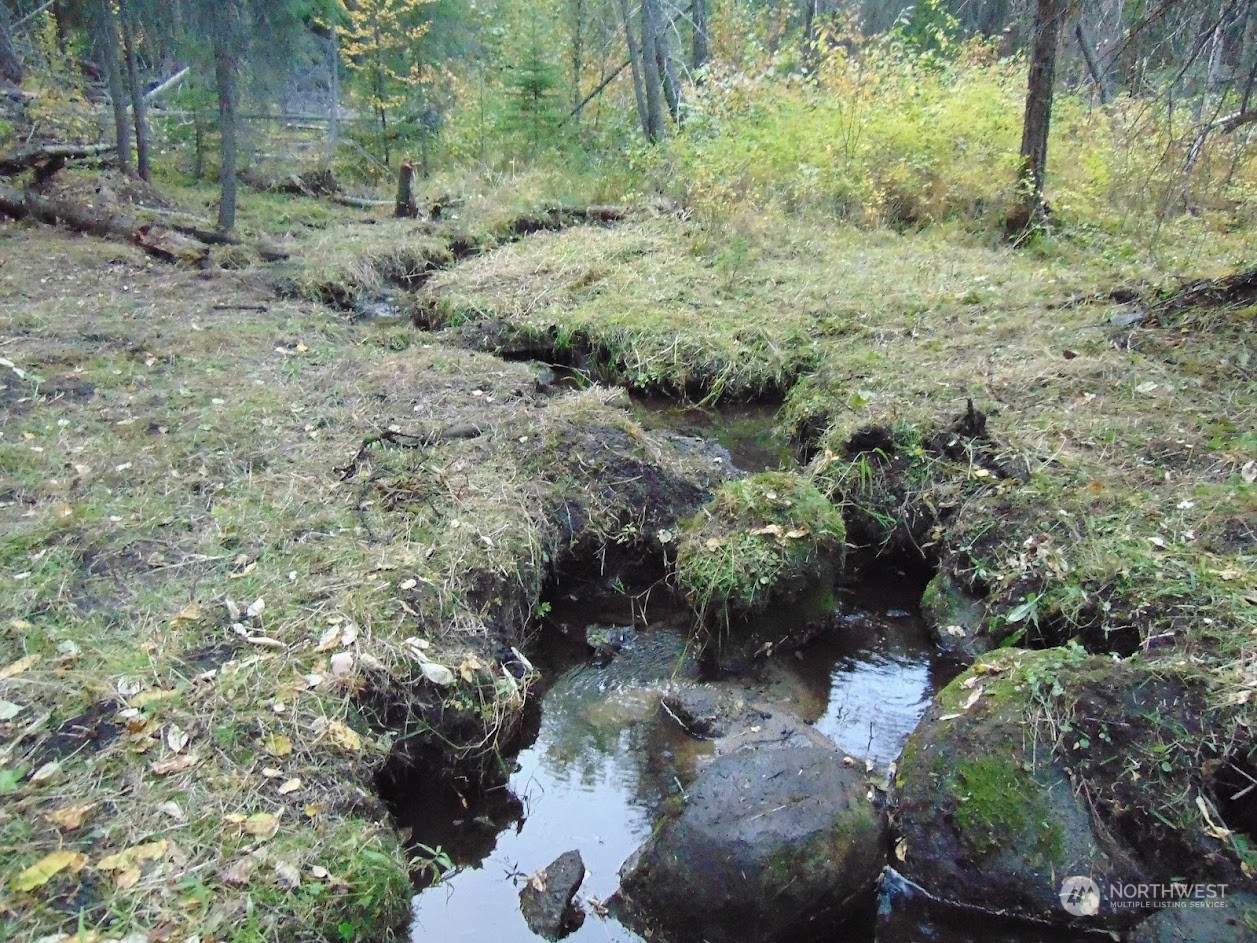 Property Photo: 0 Tbd Rose Haven Circle WA 99166