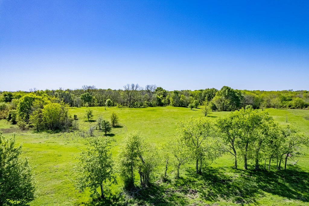 Property Photo:  Lot 39 Private Road 8496  TX 75751 