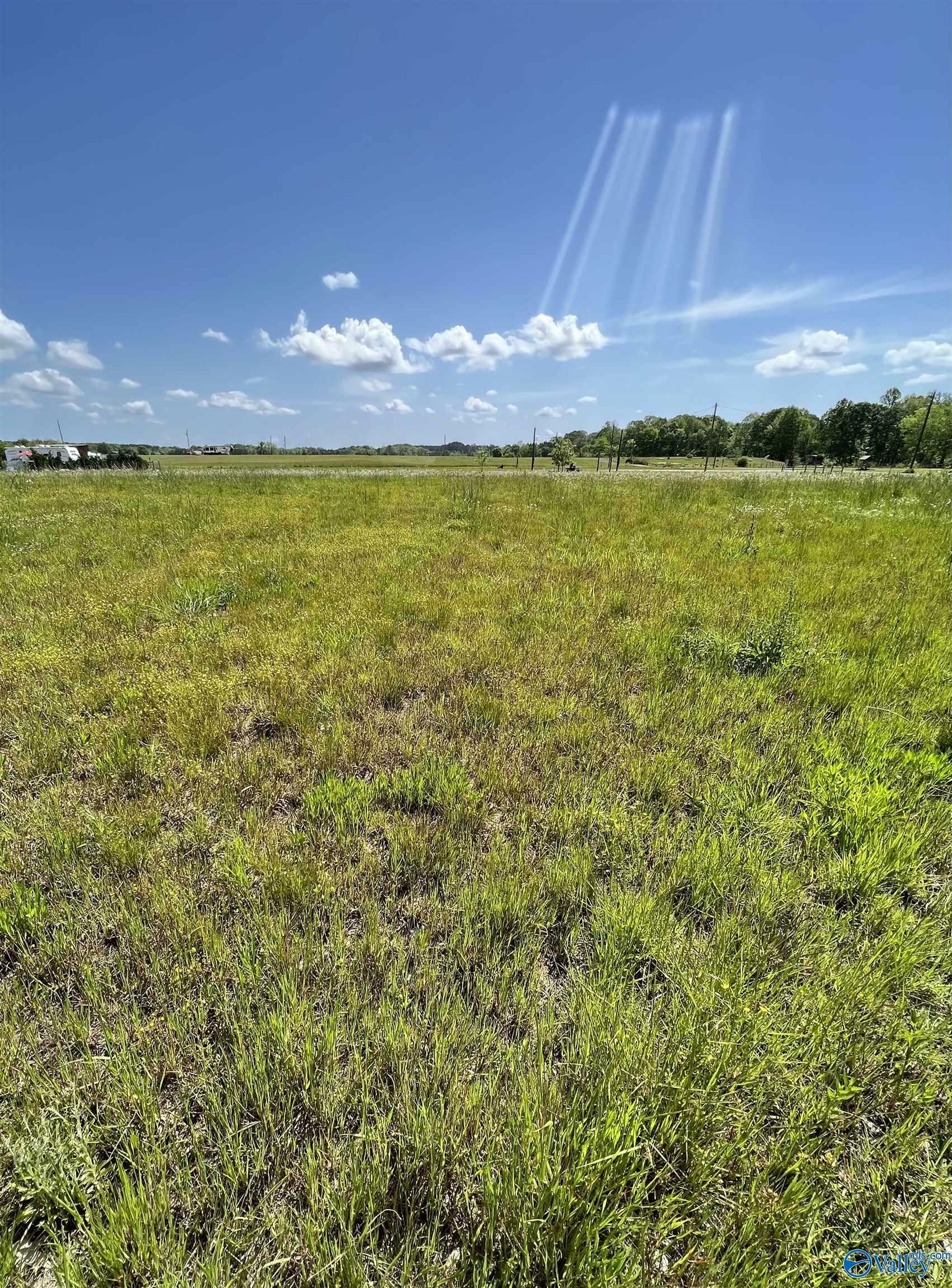 Lot 42 County Road 1042  Centre AL 35960 photo