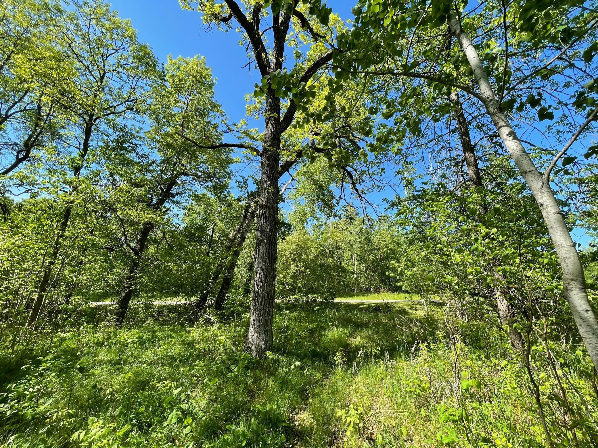 Property Photo:  Tbd Wedgewood Road NW  MN 56484 