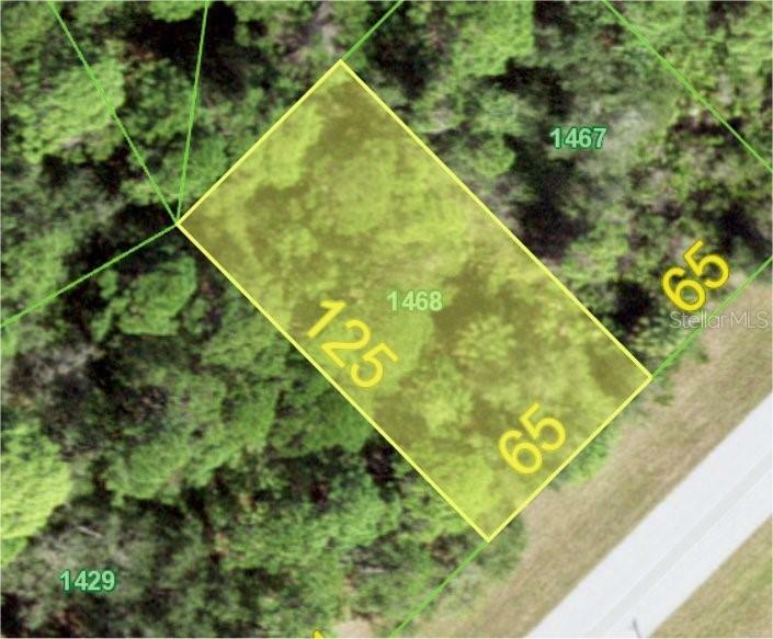 Property Photo: 336 Sweetwater Drive FL 33947