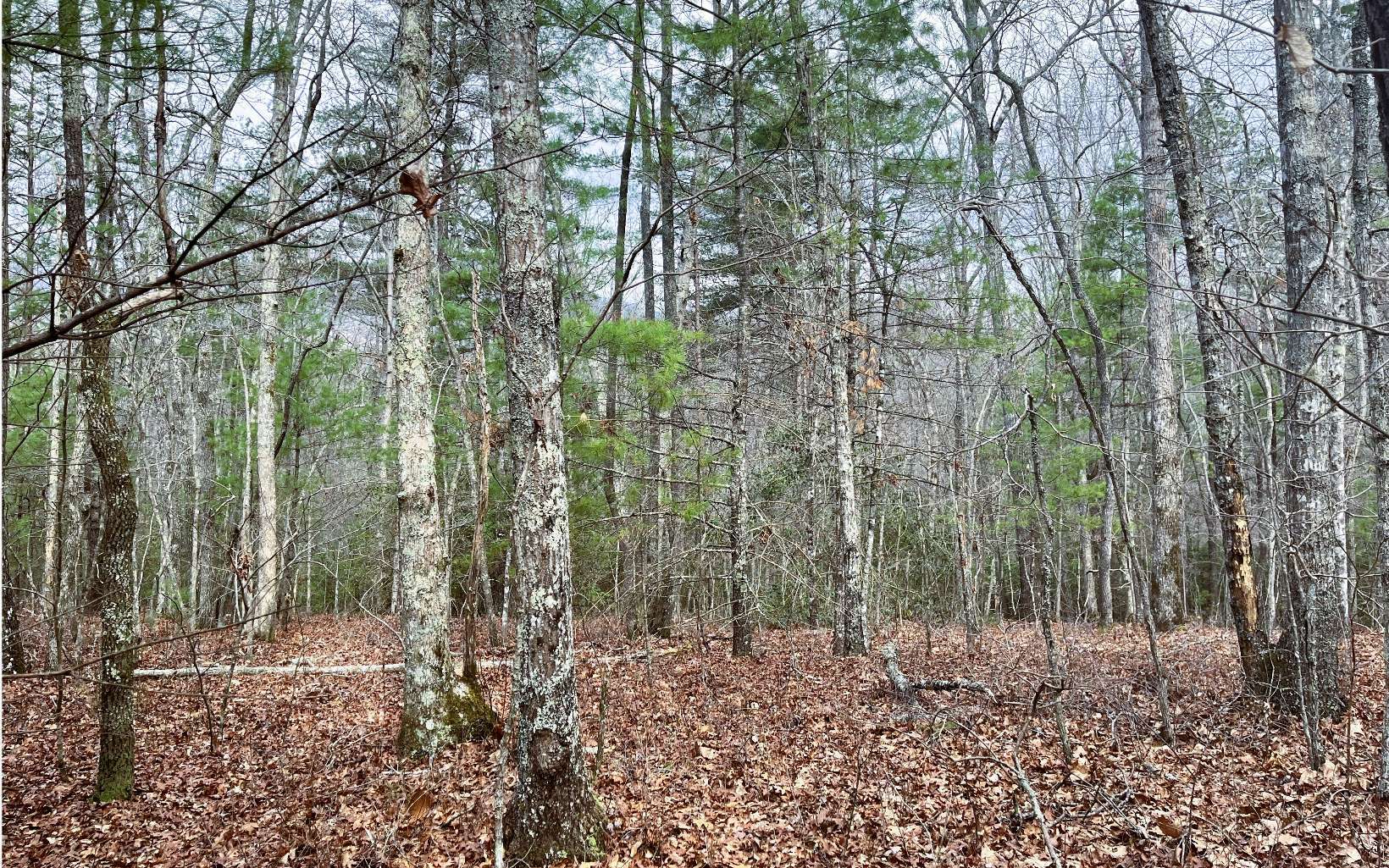 Property Photo:  00 Tall Timber Road  NC 28909 