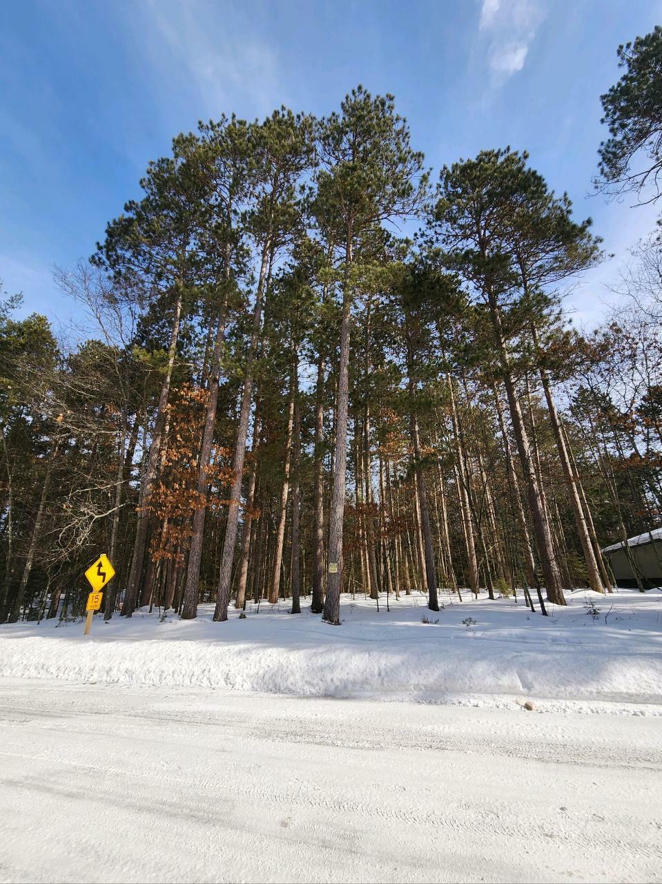 Property Photo:  Lot 18 The Point Rd W  WI 54487 