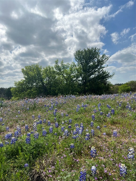 Escondido Lot C-60 La Serena Loop  Llano TX 78643 photo