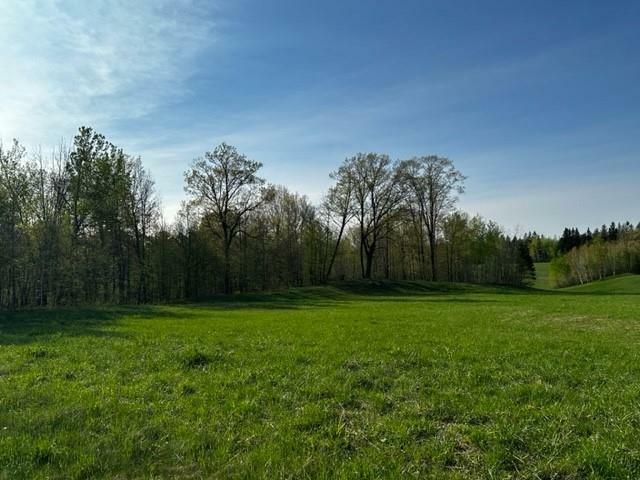 Lot 16 Birken Trail Road  Hayward WI 54843 photo