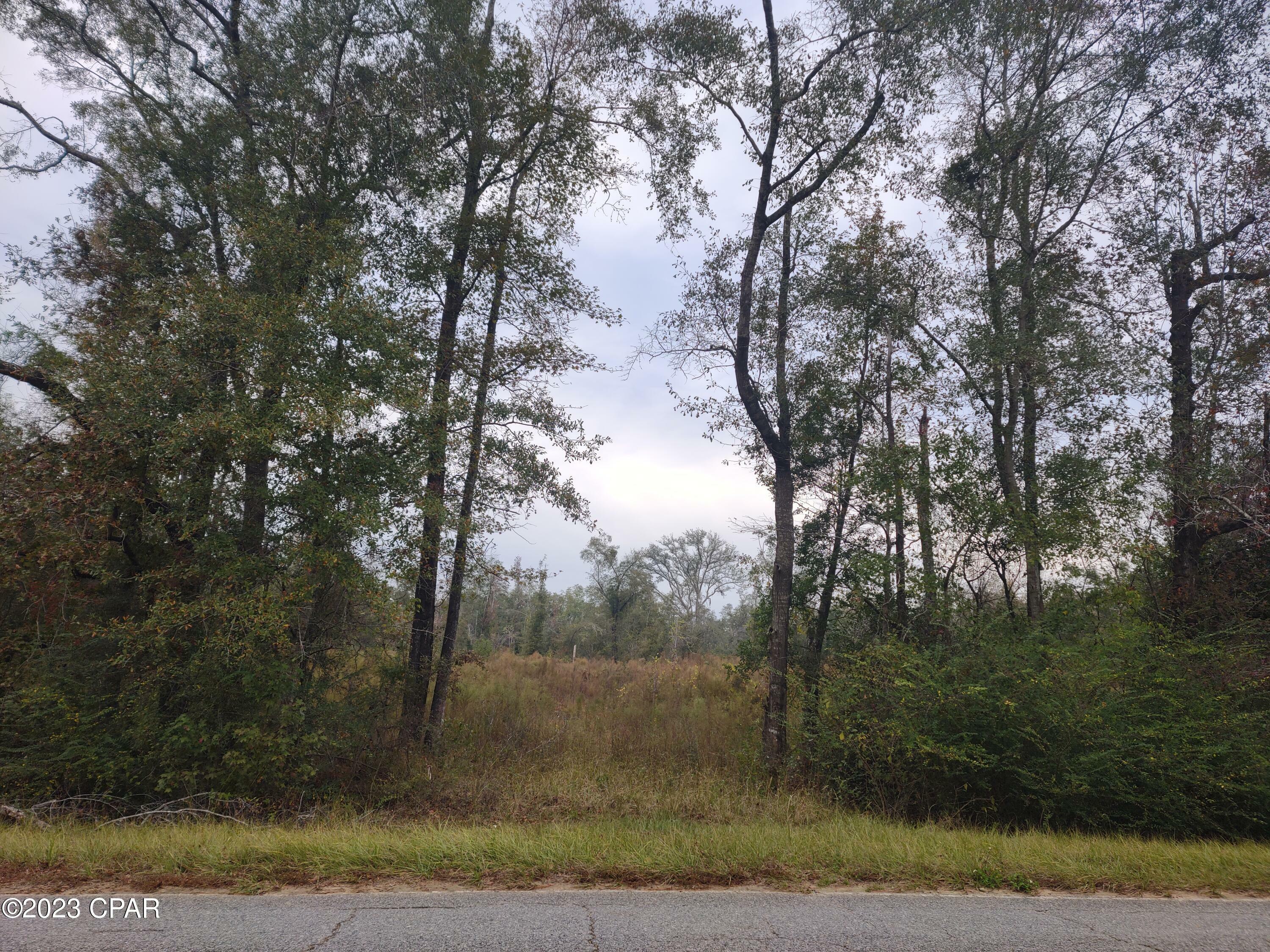 Property Photo:  00 Pioneer Road  FL 32428 