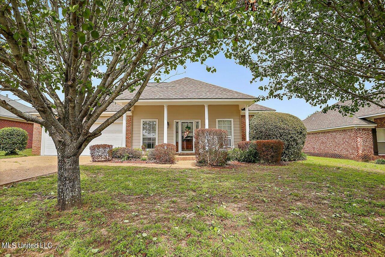 Property Photo: 147 Appleridge Drive MS 39047