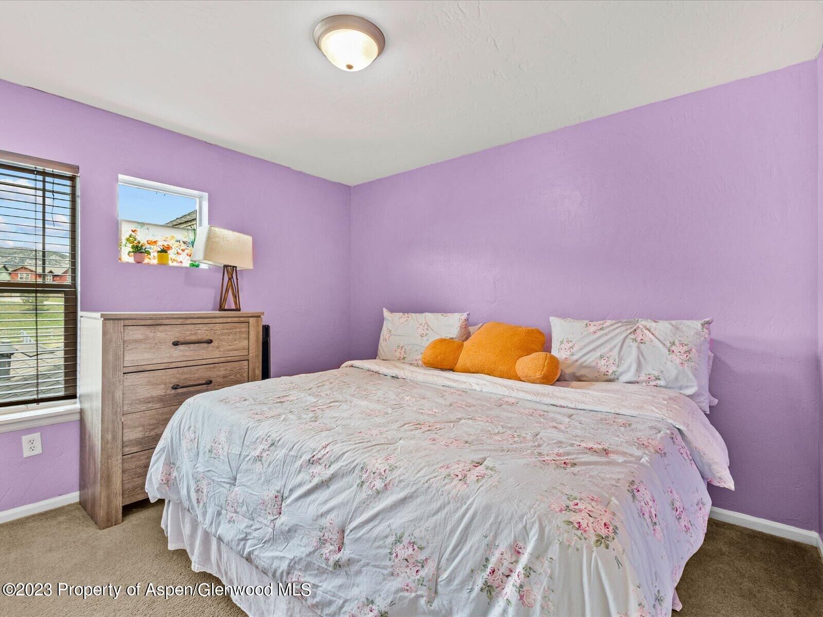 Property Photo: 35 Redstone Drive CO 81647