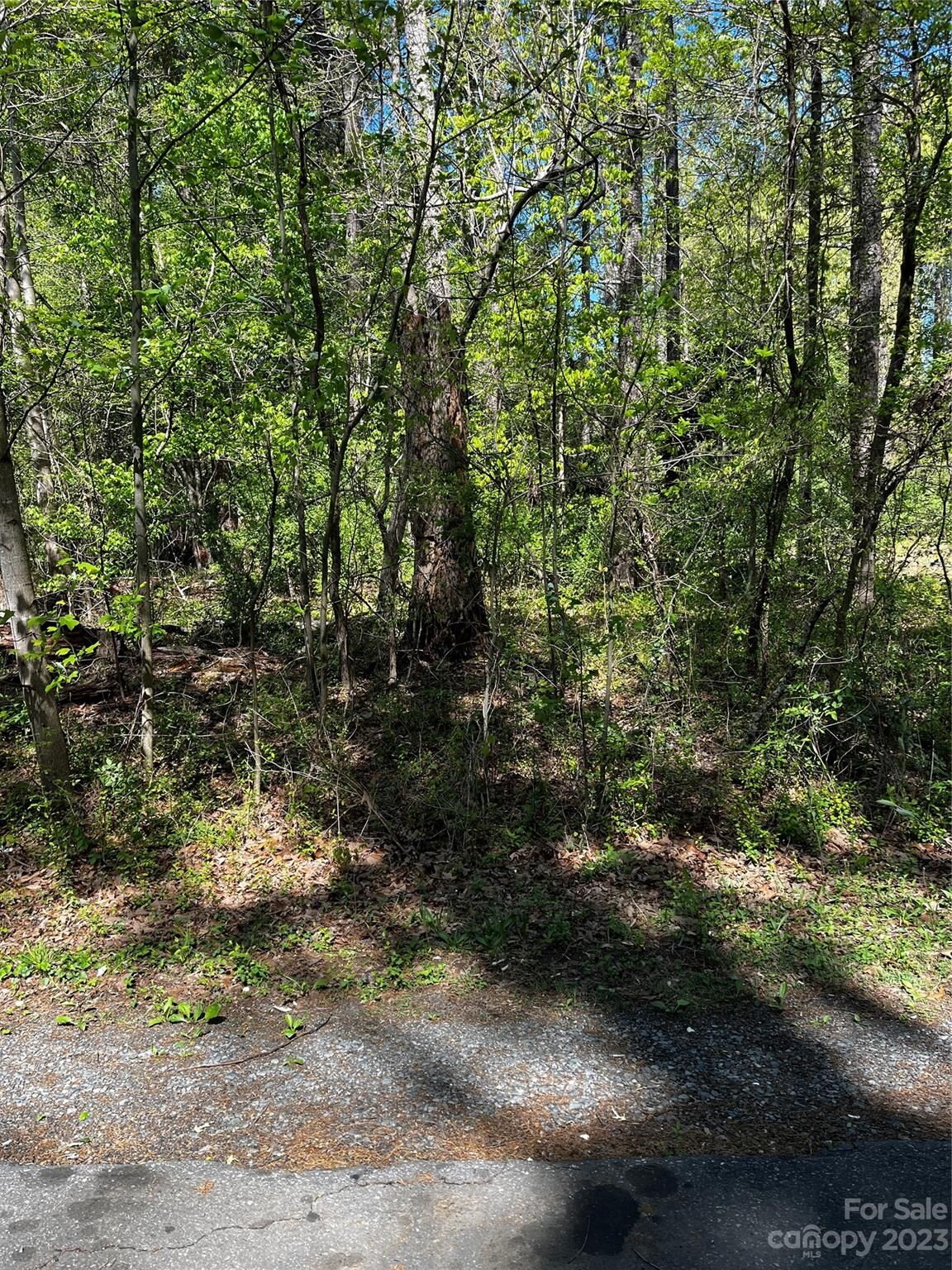 Property Photo: 7315 Monaco Drive NC 28078