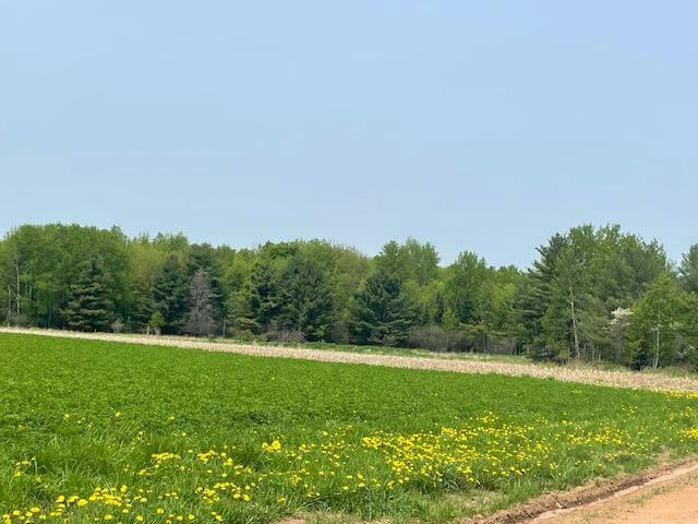 Property Photo:  18.91 Acres Honey Ridge Road  WI 54403 