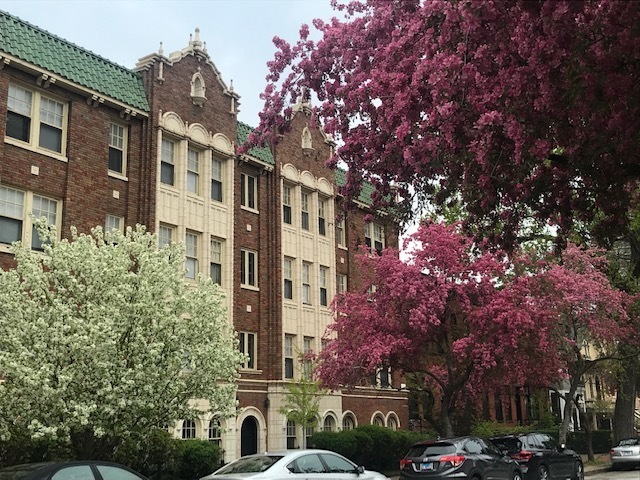 Property Photo: 1824 N Lincoln Park West 308 IL 60614