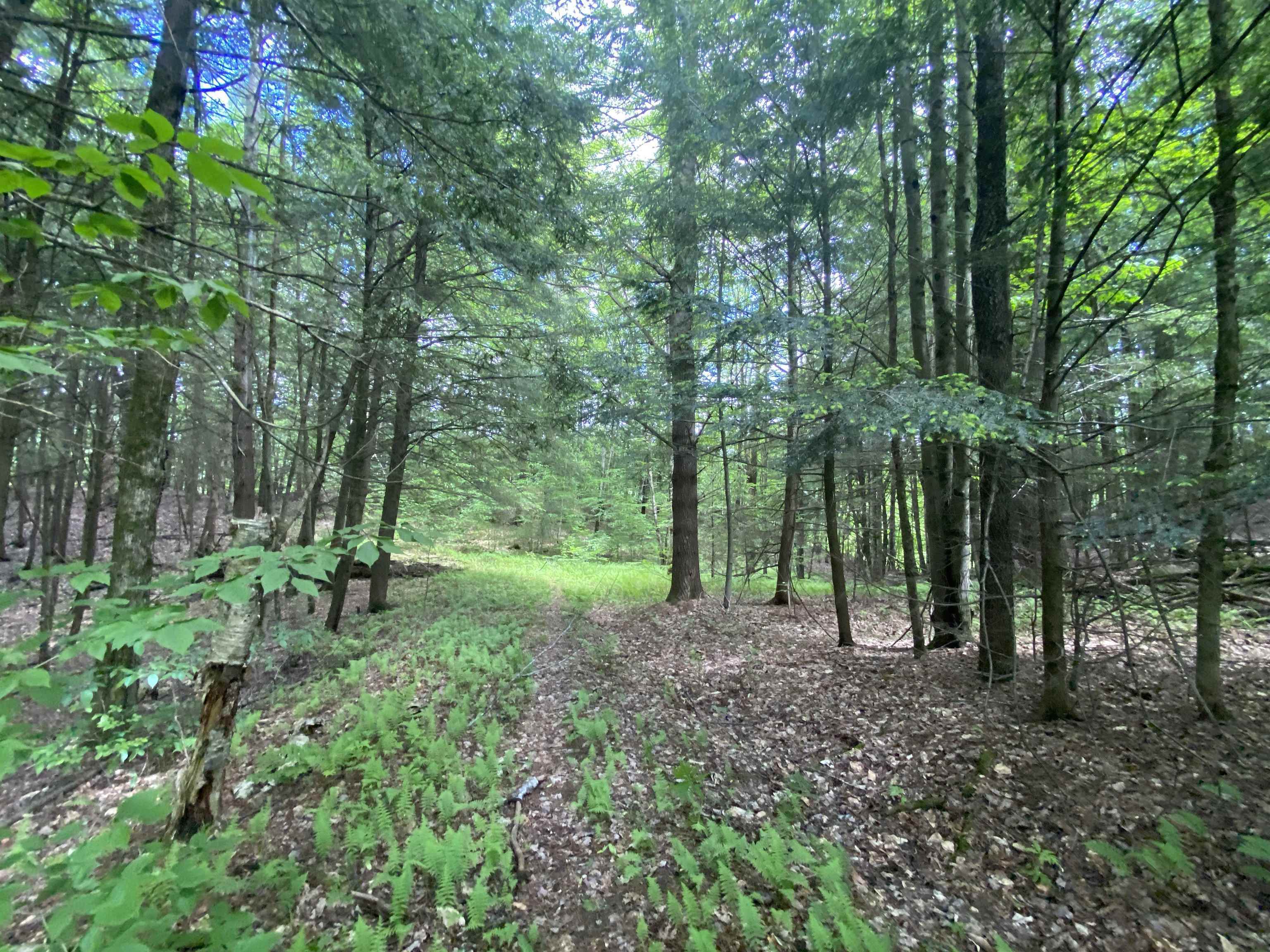Property Photo: 47 East Countryside Road VT 05676