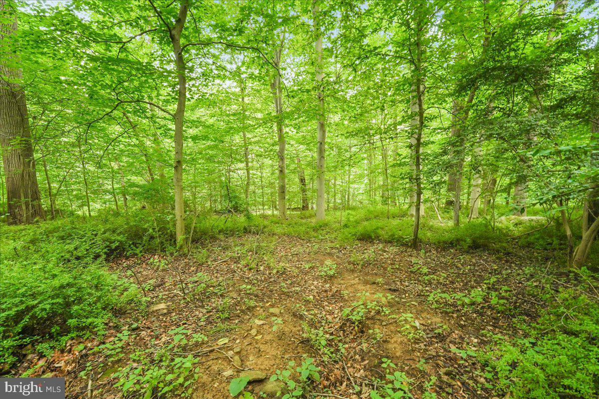 Property Photo: Philips Lane PA 19073