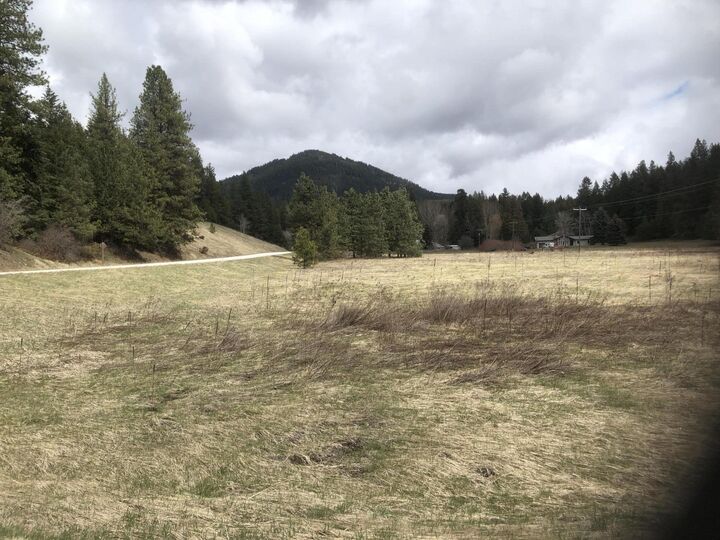 Xxx Flowery Trail Rd  Chewelah WA 99109 photo