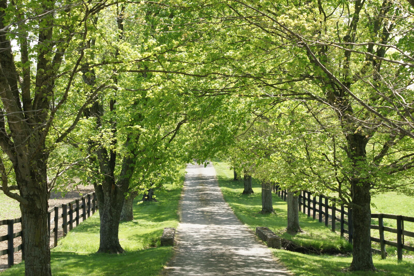 Property Photo:  1901 Ferguson Road  KY 40511 