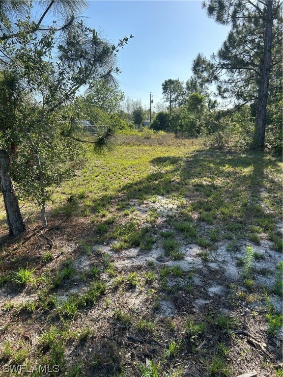 Property Photo: 3918 Lee Boulevard FL 33971