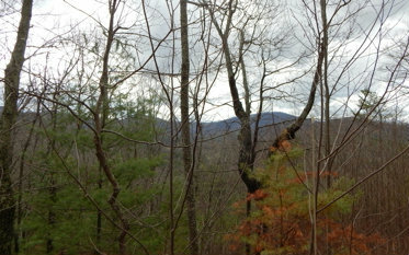 Property Photo:  15 View Ridge Trail  NC 28906 