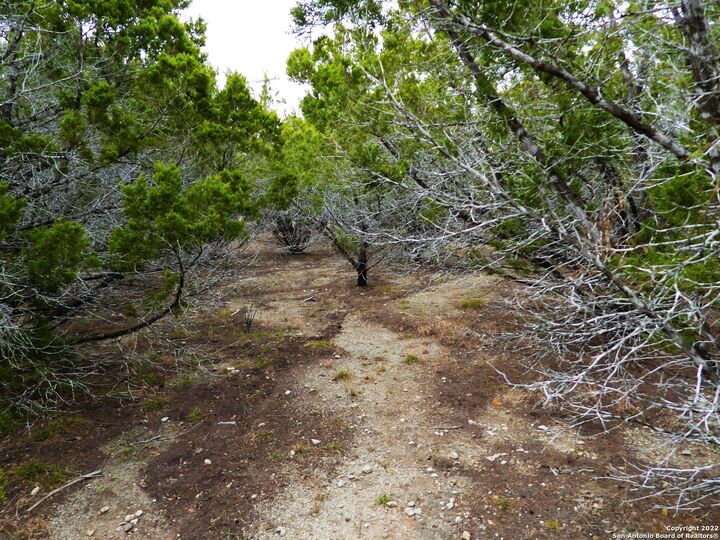 Lot 73 Scenic Crest  Lakehills TX 78063 photo