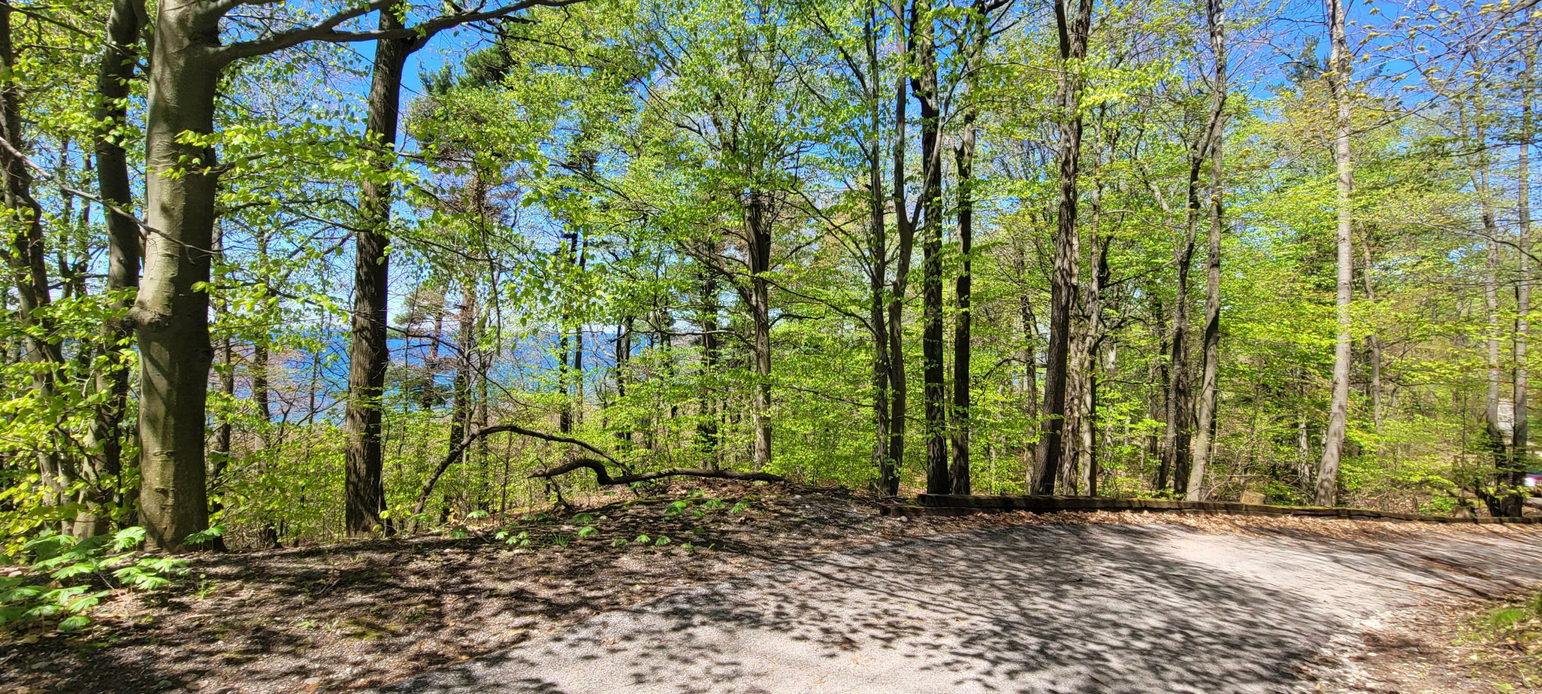 Property Photo:  0 Sable  Point Drive  MI 49455 
