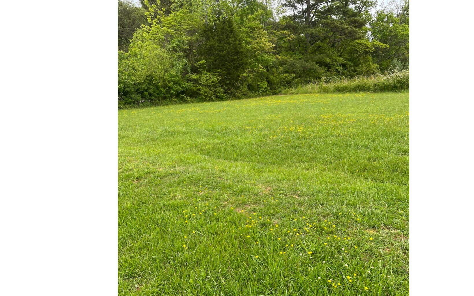 Property Photo:  Lot 2 Knights Square  GA 30512 