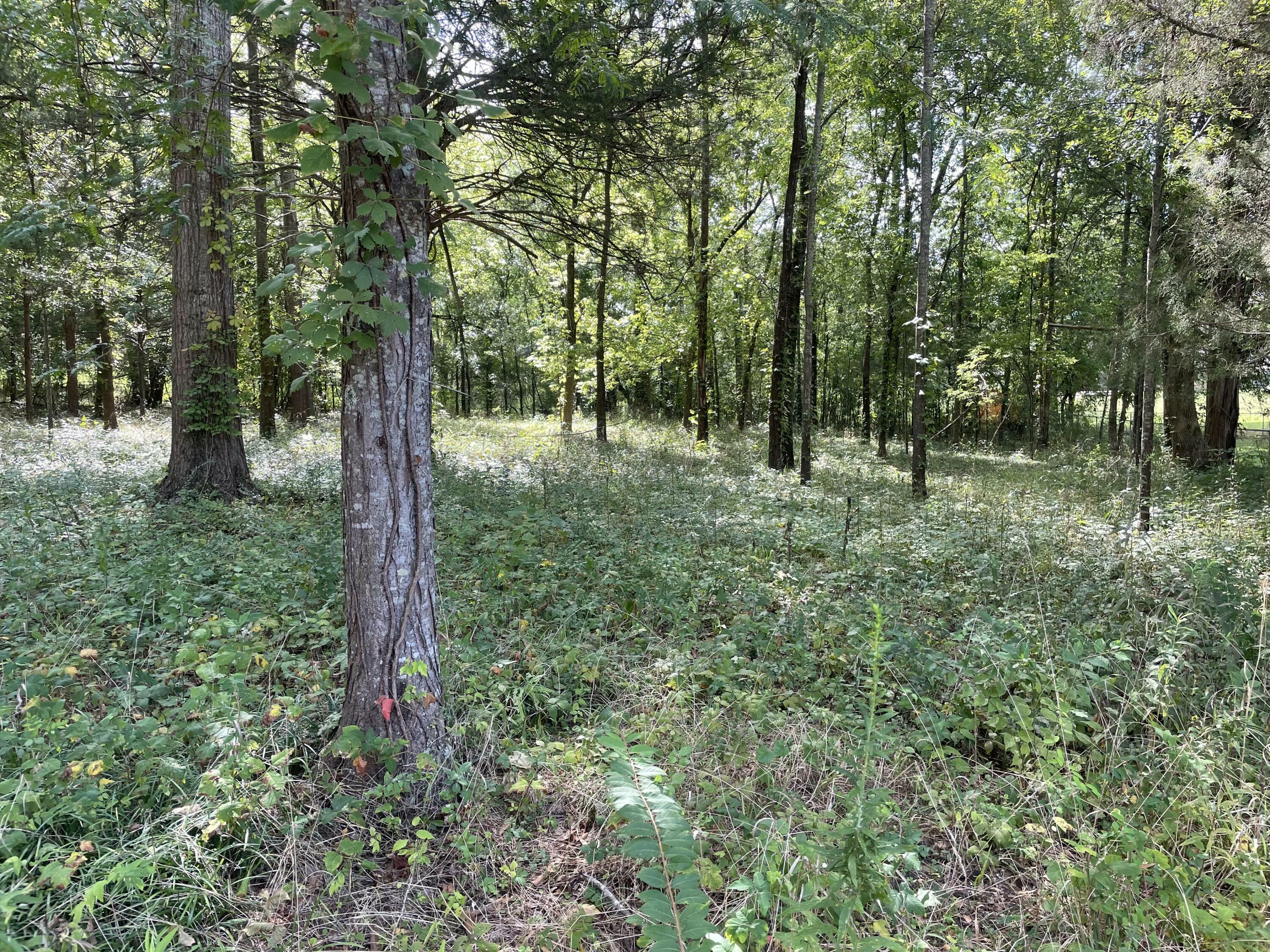 Property Photo:  Navaho Ct  MS 39759 