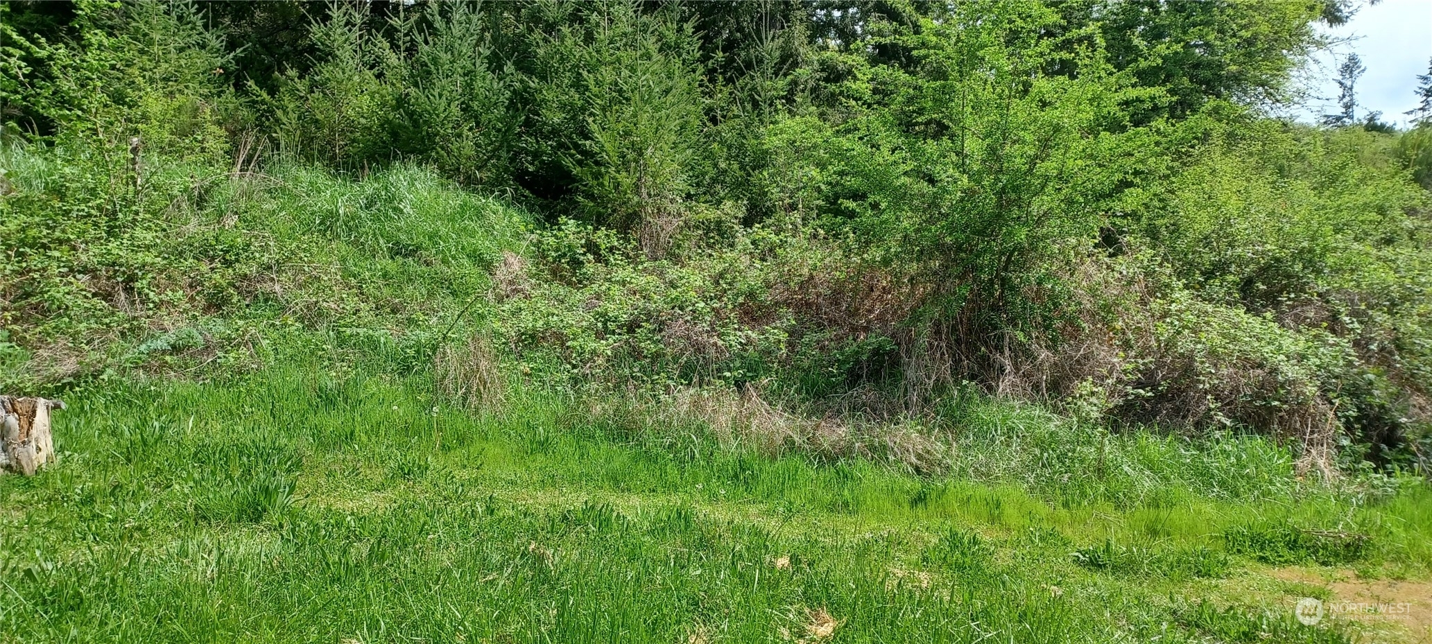 Property Photo:  13 Xxx Bayne Street  WA 98531 