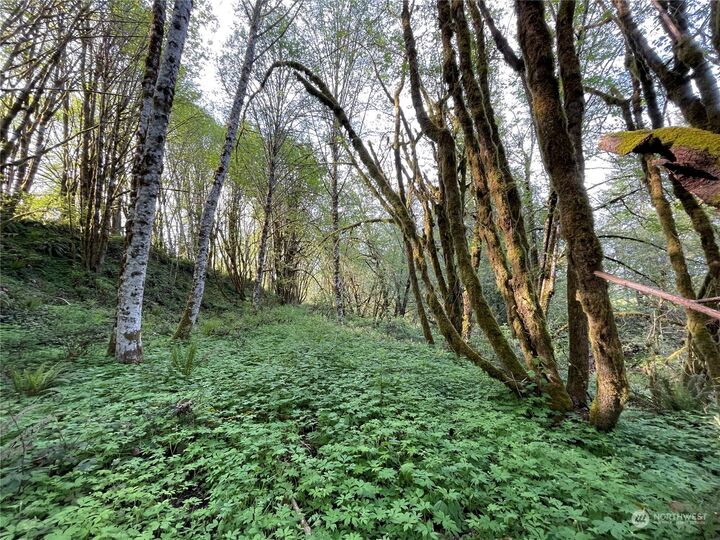 Property Photo:  0  Umiker Road  WA 98611 