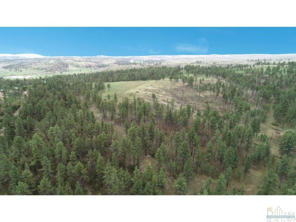 Property Photo:  Tbd Canyon Road  MT 59073 