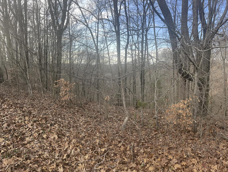 Property Photo: Lot 35 Laurelwood KY 42544