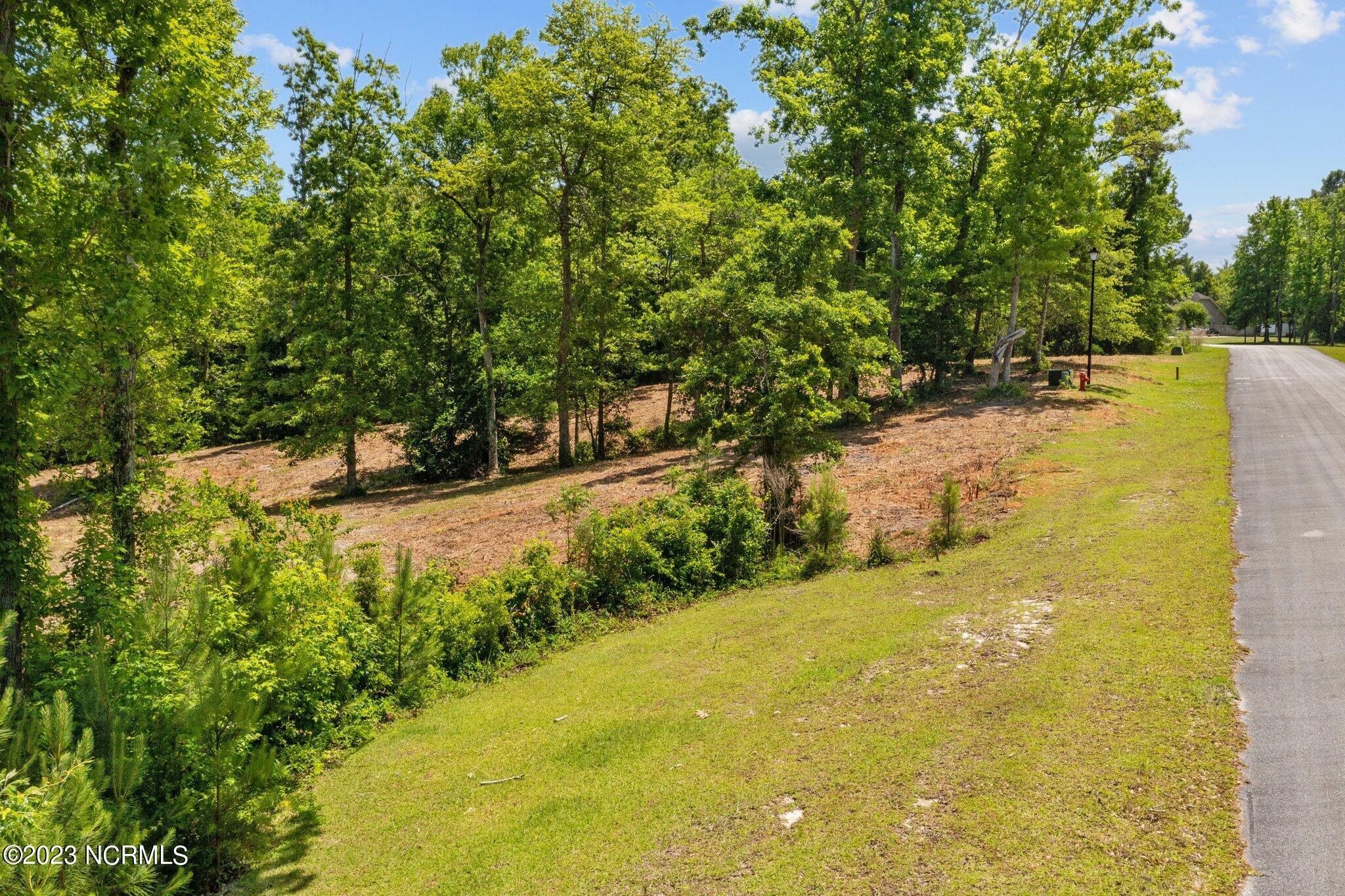 Property Photo:  Lot 10 Tree Hill Lane  NC 28539 