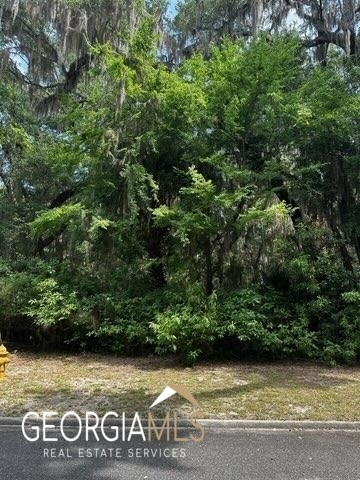 Property Photo: 106 Wagner Lane GA 31558