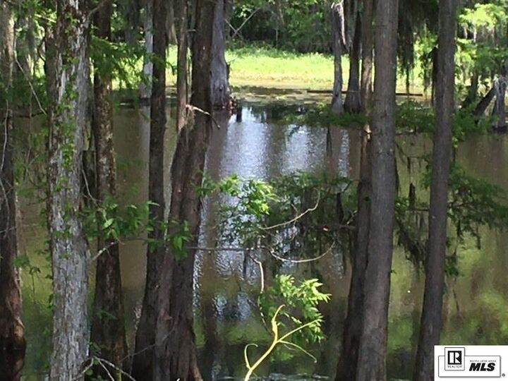 Property Photo: 9228 Desiard Trace LA 71280
